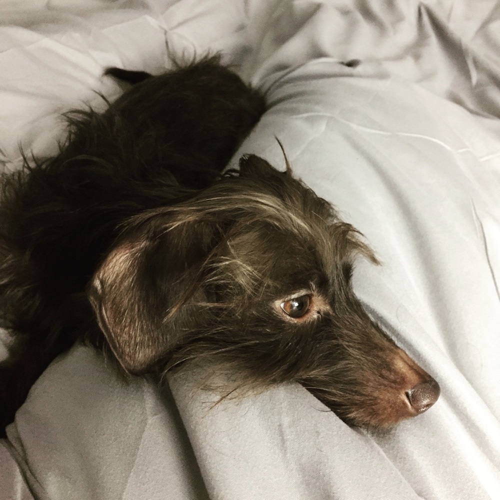 Meet your Posher, Kim